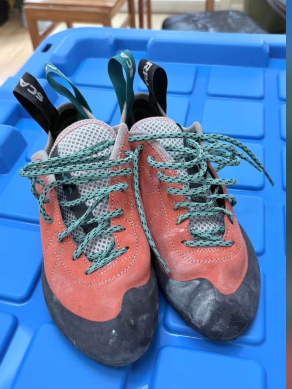 Scarpa Helix WMN Climbing Shoes